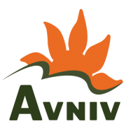 (c) Avniv.com