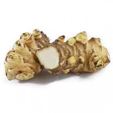 Jerusalem Artichoke