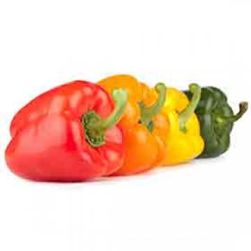 Bell Peppers (Capsicum)