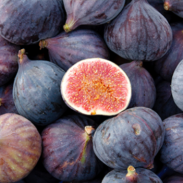 The Figs season has began